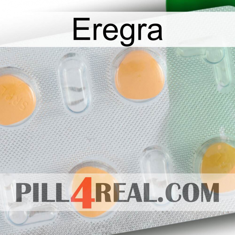 Eregra 24